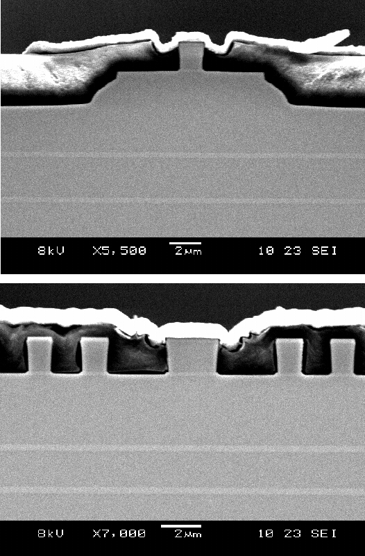 SEM photograph of two SSC